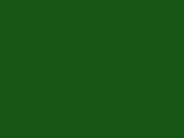 chameleon-1